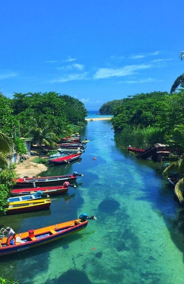 A small wooden boat on a calm green waterway lined with tropical foliage